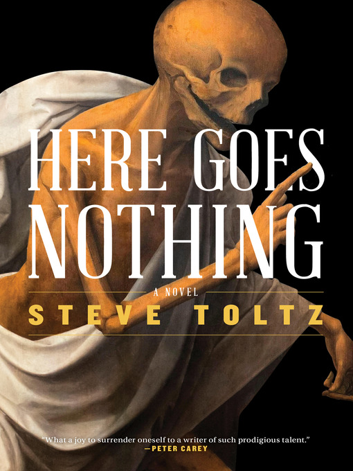 Title details for Here Goes Nothing by Steve Toltz - Available